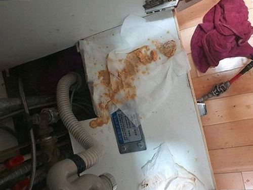 월계동 하수구막힘 거름망과 트랩을 세척한 뒤 배수 상태를 확인하는 모습
